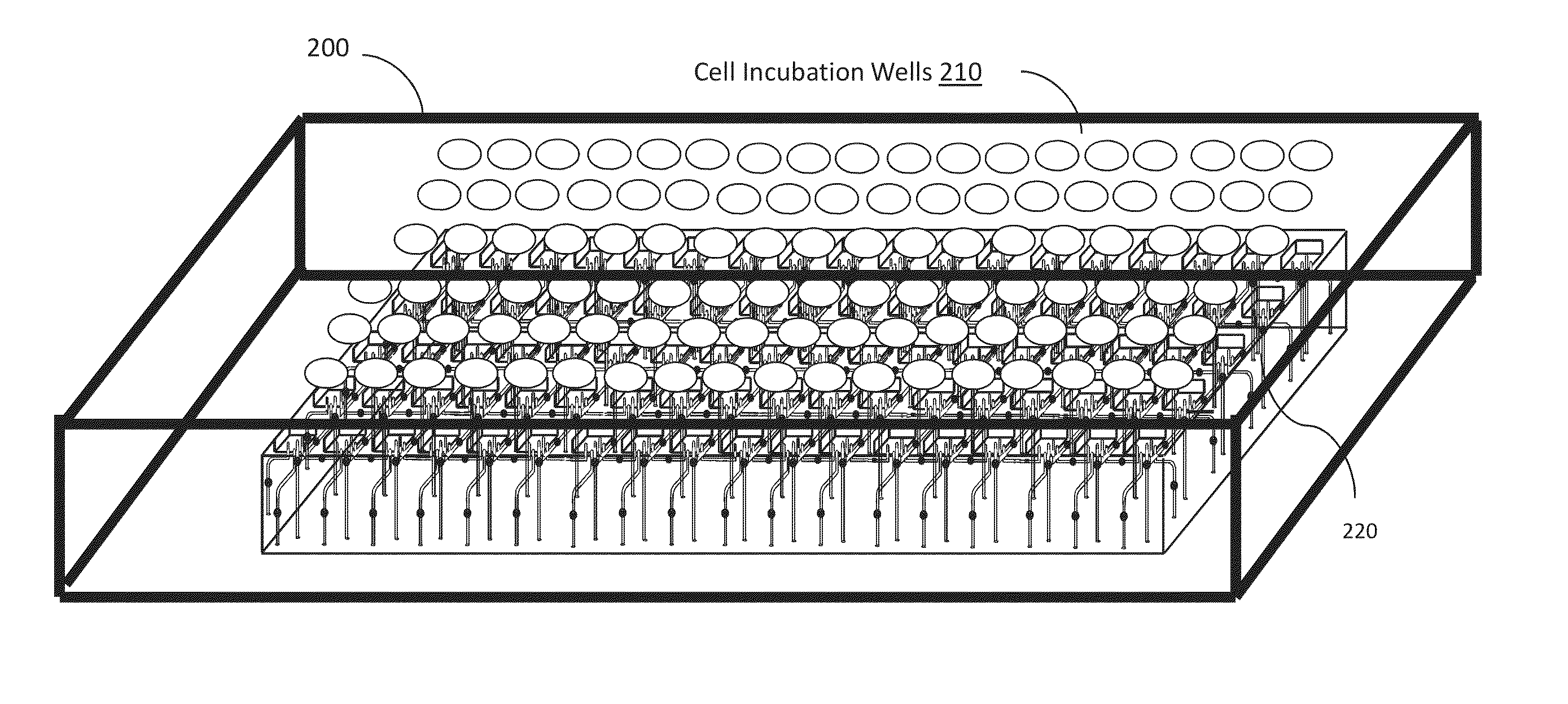 Cell Incubator and Cellular Culture Laboratory Test bed