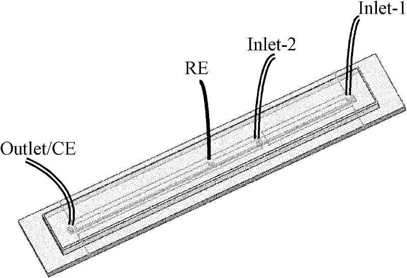 Micro-fluidic chip for in-vivo on-line simultaneous detection of ascorbic acid and magnesium ion and preparation method thereof