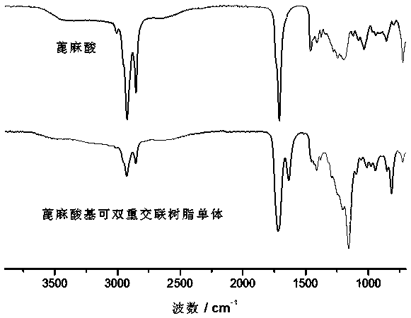 Castor oil-based double-crosslinkable reactive resin monomer and preparation method thereof