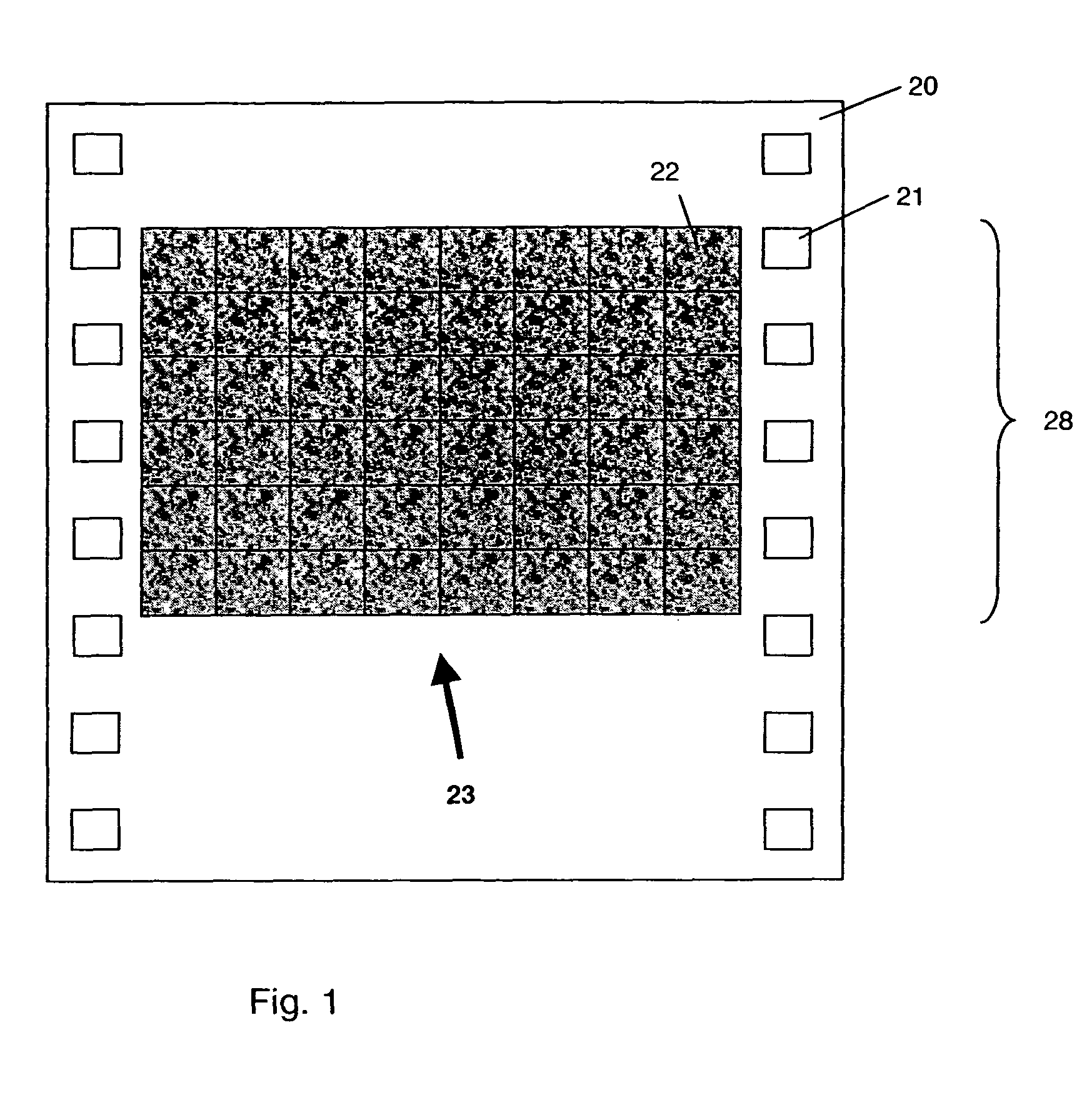 Method and apparatus for exposing a latent watermark on film