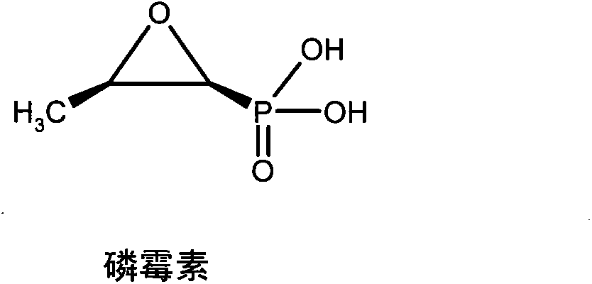 New fosfomycin derivatives and medicinal use thereof