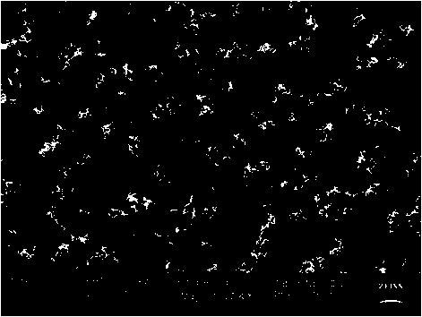 Method for preparing superhydrophobic surface through one-step electro-deposition way