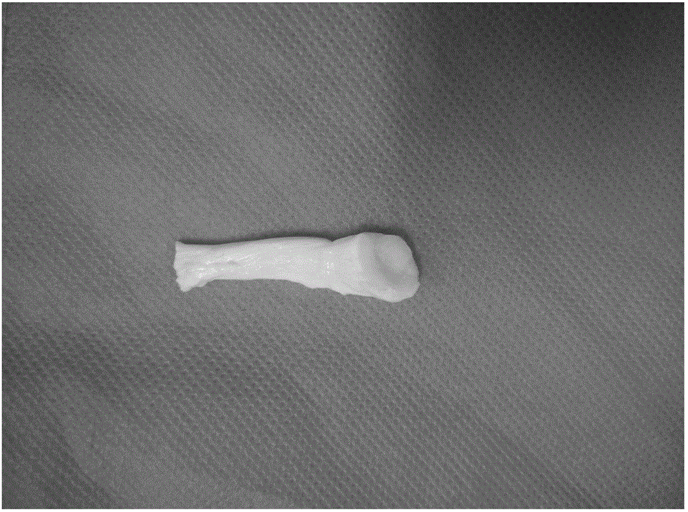 Preparation method of tendon conjunction bone decellularization material of natural tissue source