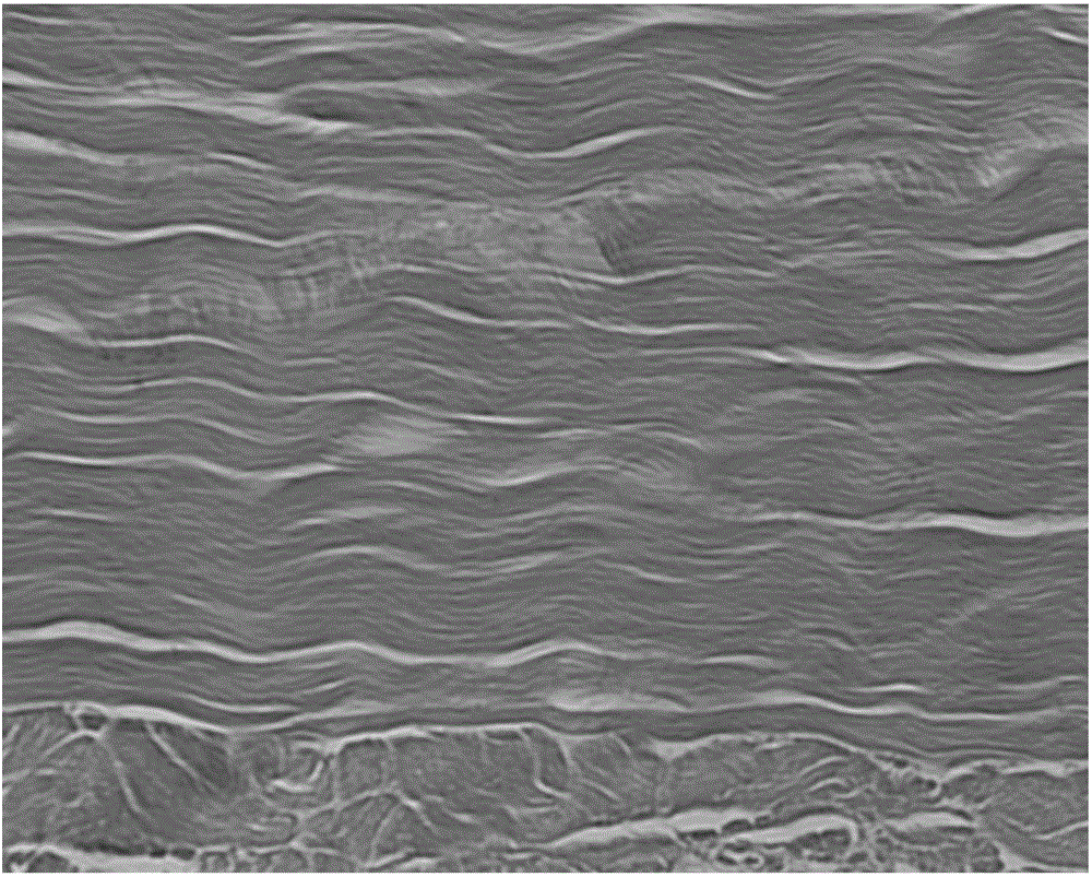 Preparation method of tendon conjunction bone decellularization material of natural tissue source