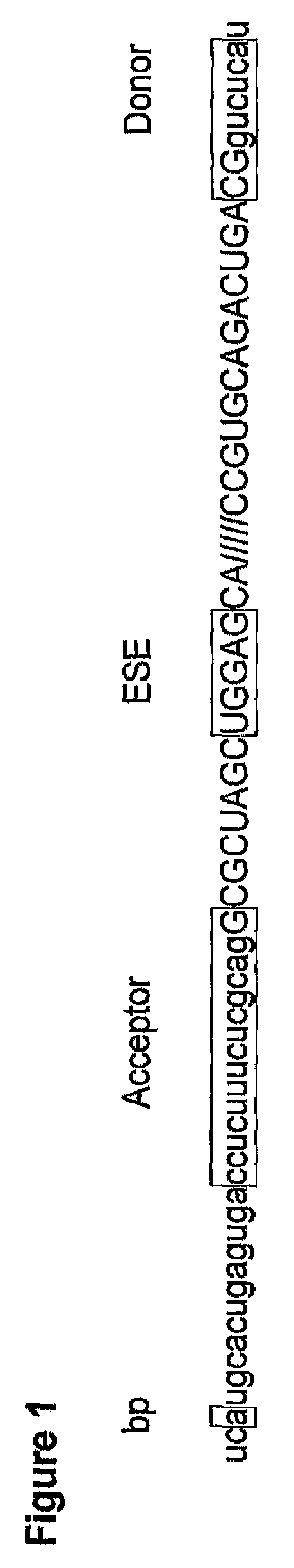 Antisense molecules and methods for treating pathologies