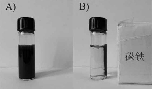 One-pot synthesis phenylboronic acid polymer magnetic nano composite material and preparation method and application thereof