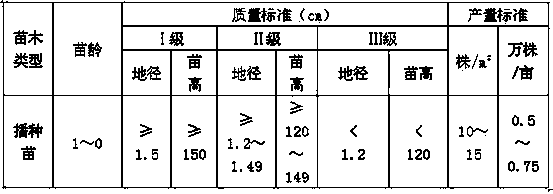 Method for cultivating strong high-quality hackberry saplings