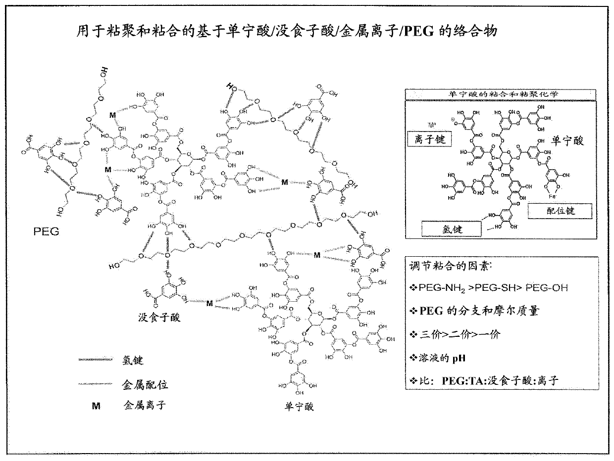 Polyphenols/peg based hydrogel system for dental varnish