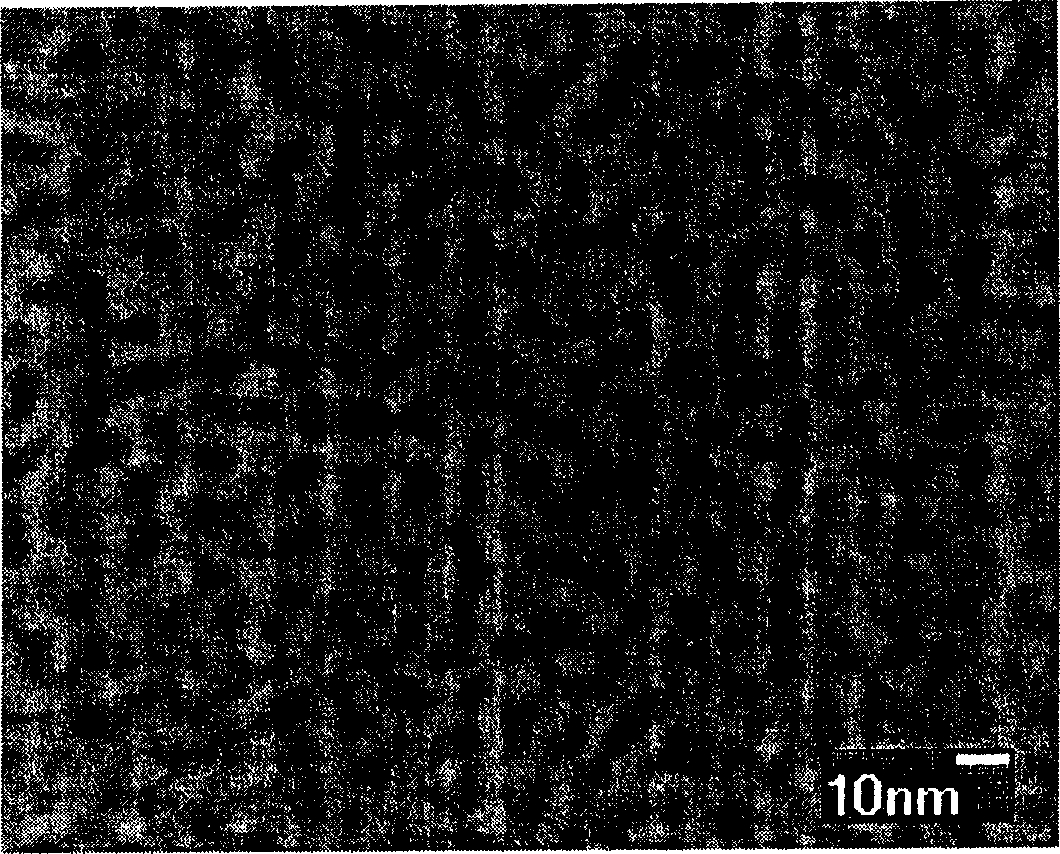 Nanometer porous metal catalyst and its prepn