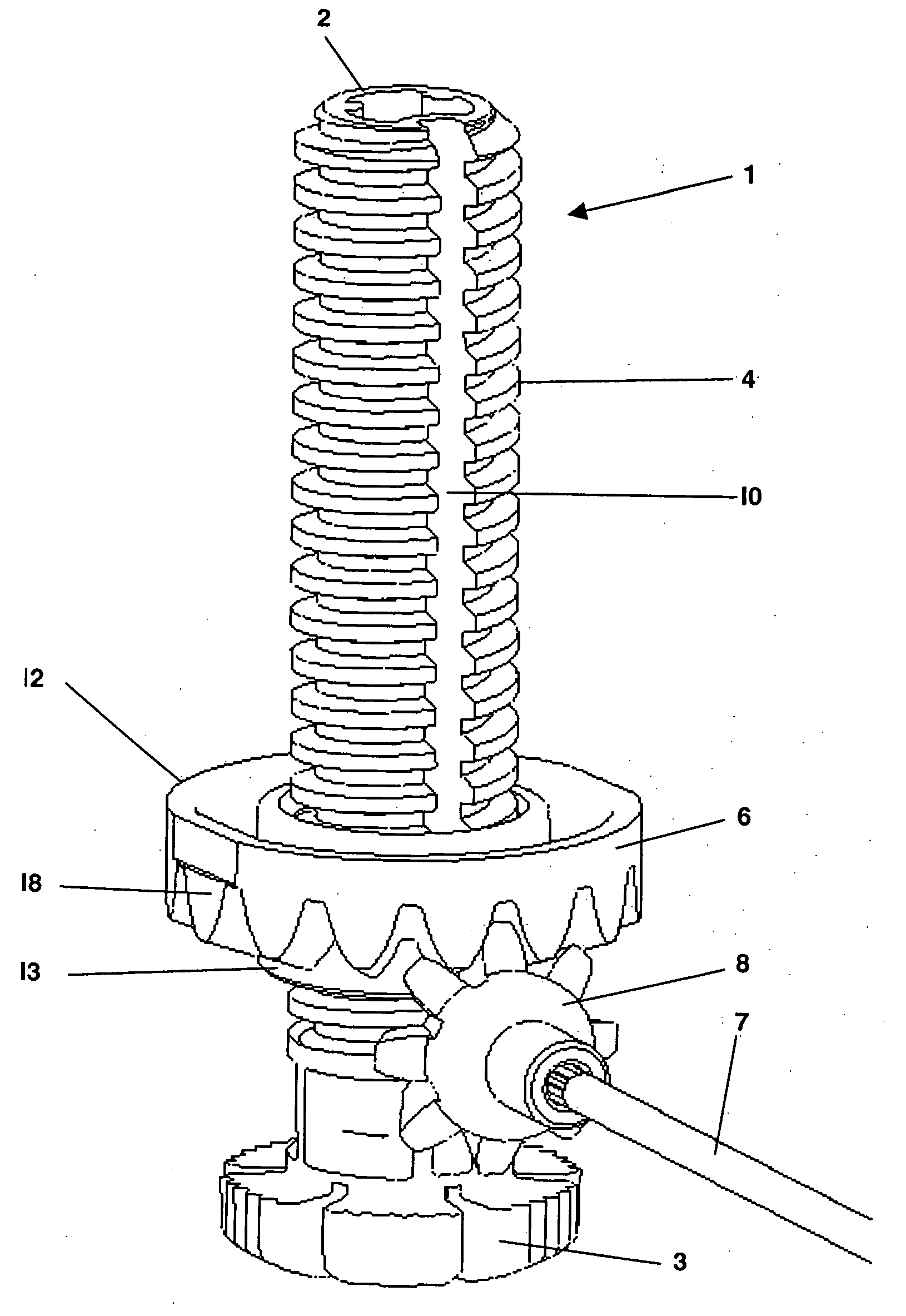 Adjustable screw foot for appliances