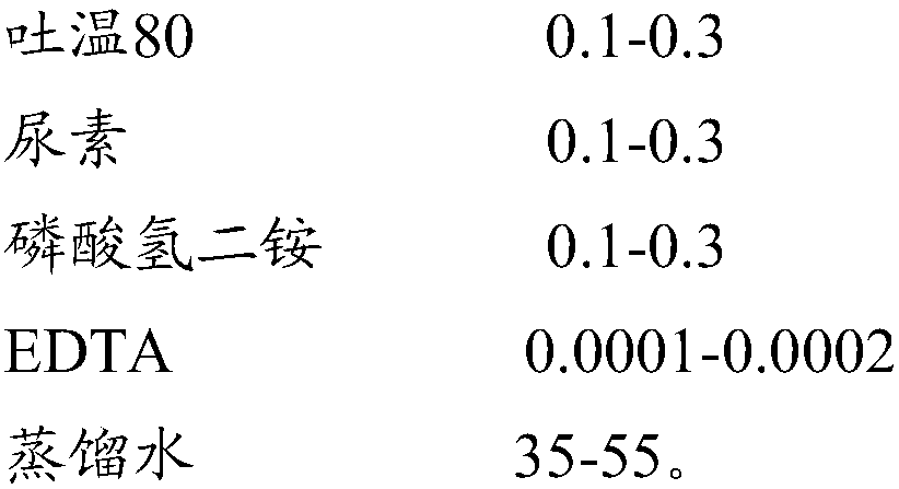 In-situ remediation method of black odor sediment in contaminated static water body