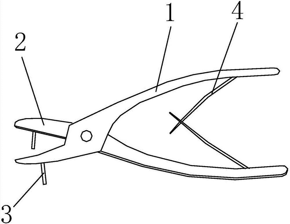 A rongeur with auxiliary fixation and calibration