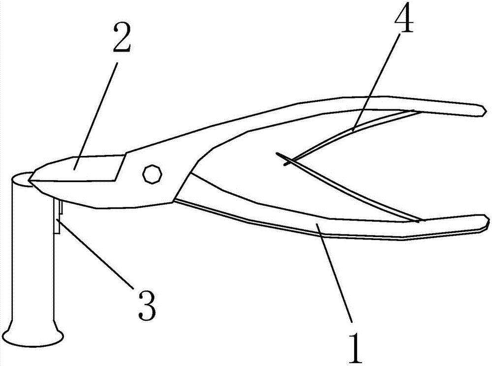 A rongeur with auxiliary fixation and calibration