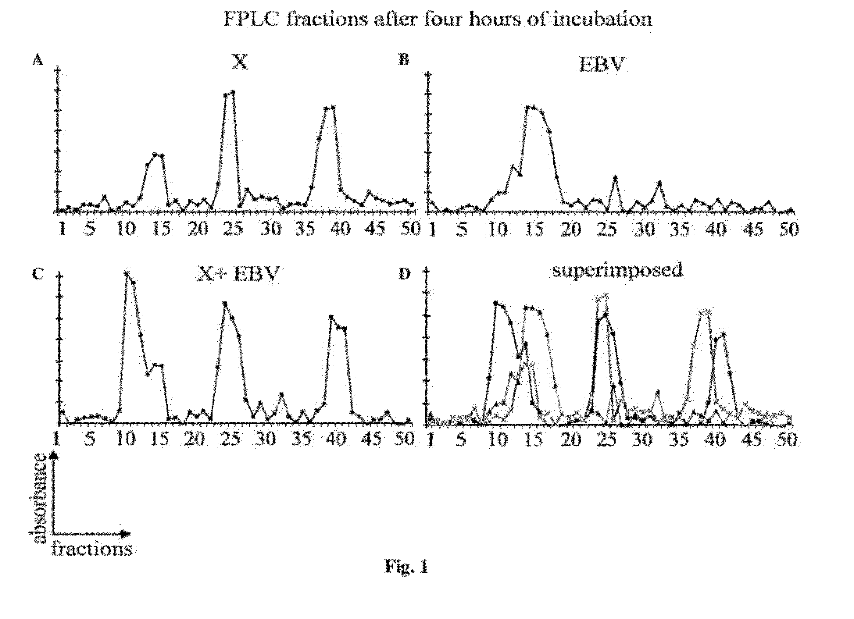 Methods of detecting susceptibility to leukemia/ lymphoma and induction of leukemia and lymphomas