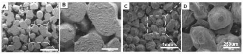 A kind of polymer hydrogel composite medpor prosthetic eye seat and preparation method thereof