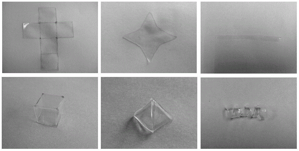 High-strength hydrogel with hydrogen bond strengthened ion driven shape memory, as well as preparation method and application of hydrogel