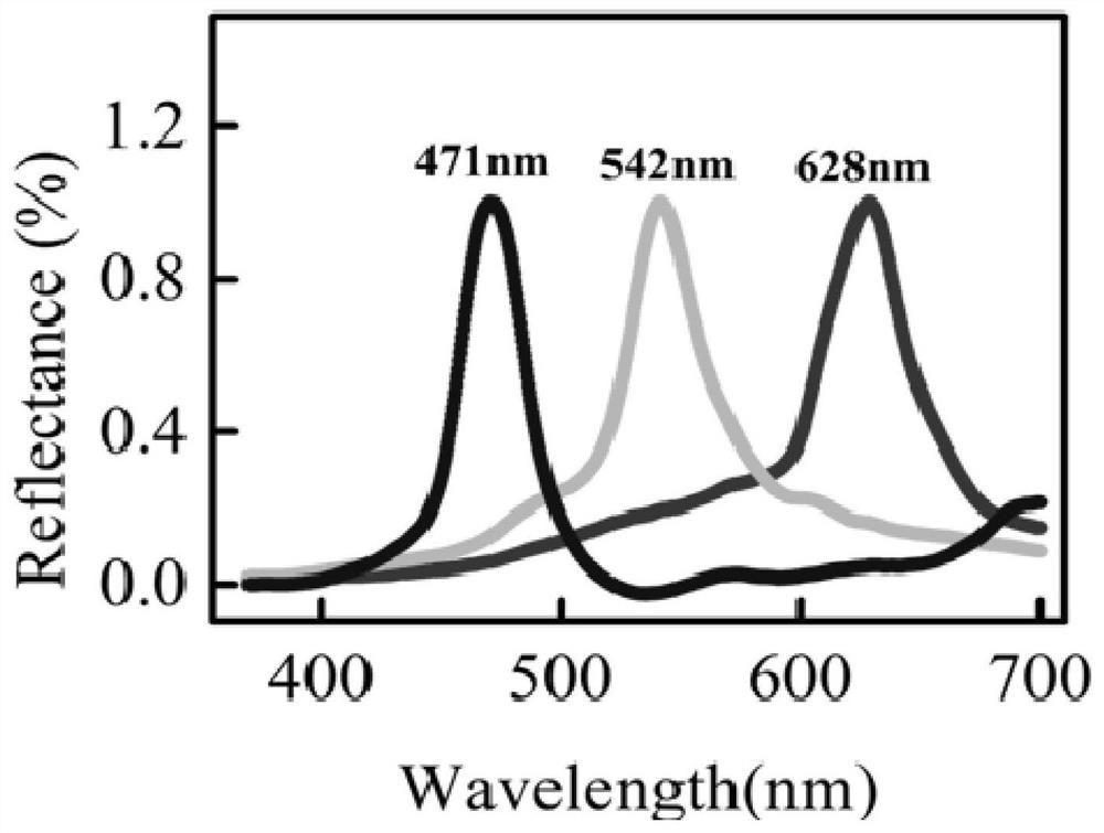 Stretchable blue-phase liquid crystal elastomer and preparation method thereof