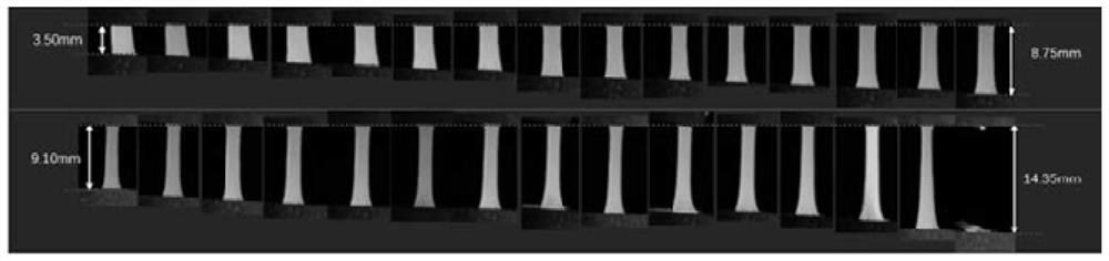 Stretchable blue-phase liquid crystal elastomer and preparation method thereof