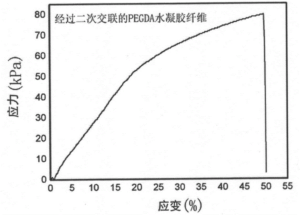 Method for improving mechanical properties of hydrogel fibers by secondary crosslinking