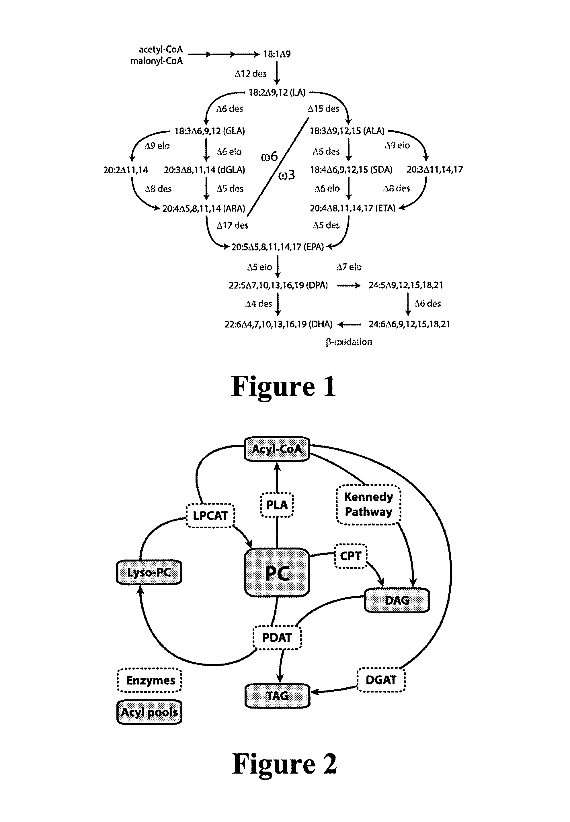 Enzymes and methods for producing omega-3 fatty acids