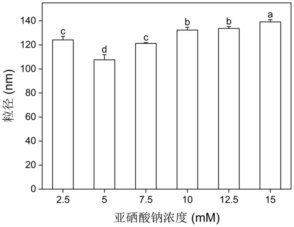 Method for preparing nano-selenium by compounding polyphenol compound and protein and prepared nano-selenium