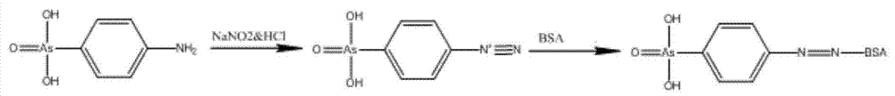 Monoclonal antibody, enzyme-linked immunosorbent assay method and kit for detecting arsanilic acid, nitarsone and Carbarsone