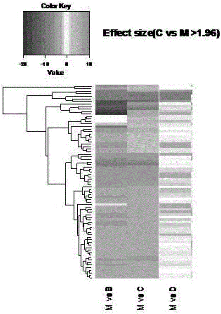 Application of lentinan in preparation of healthcare food with intestinal flora regulating function