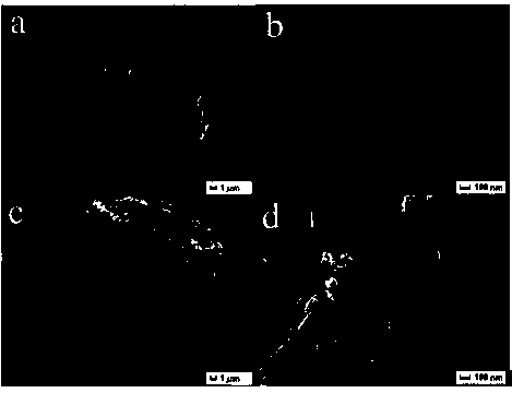 Preparation method of catalyst capable of magnetic separation