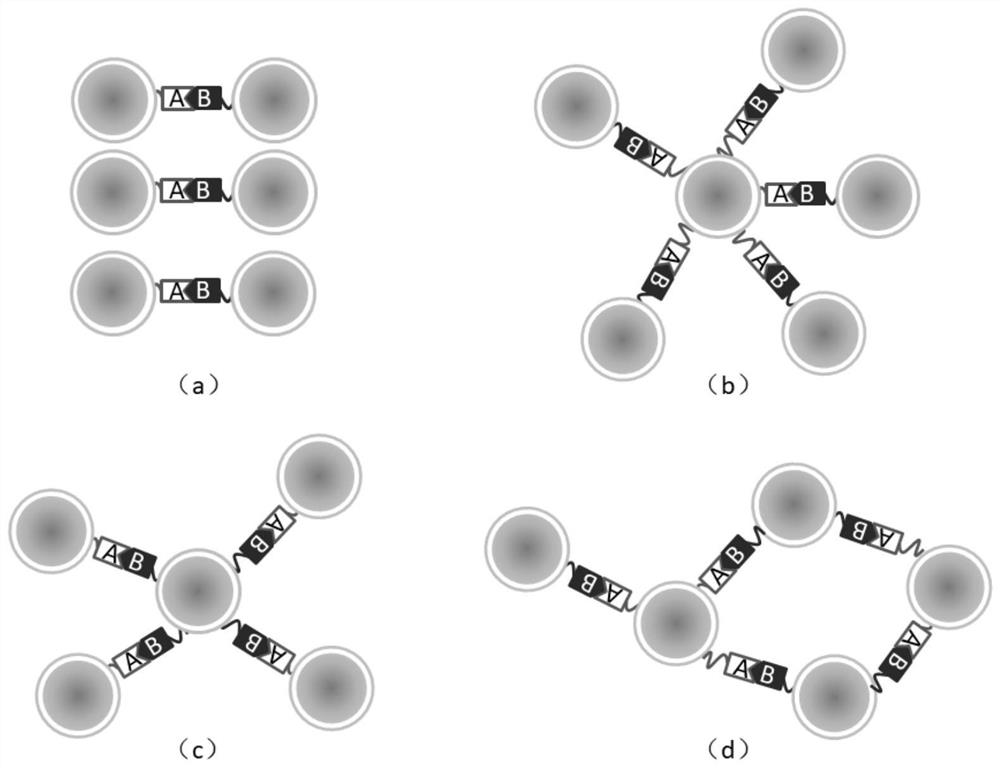 Surface-enhanced Raman method of modified dimer for detecting and analyzing the life activity state of living cells