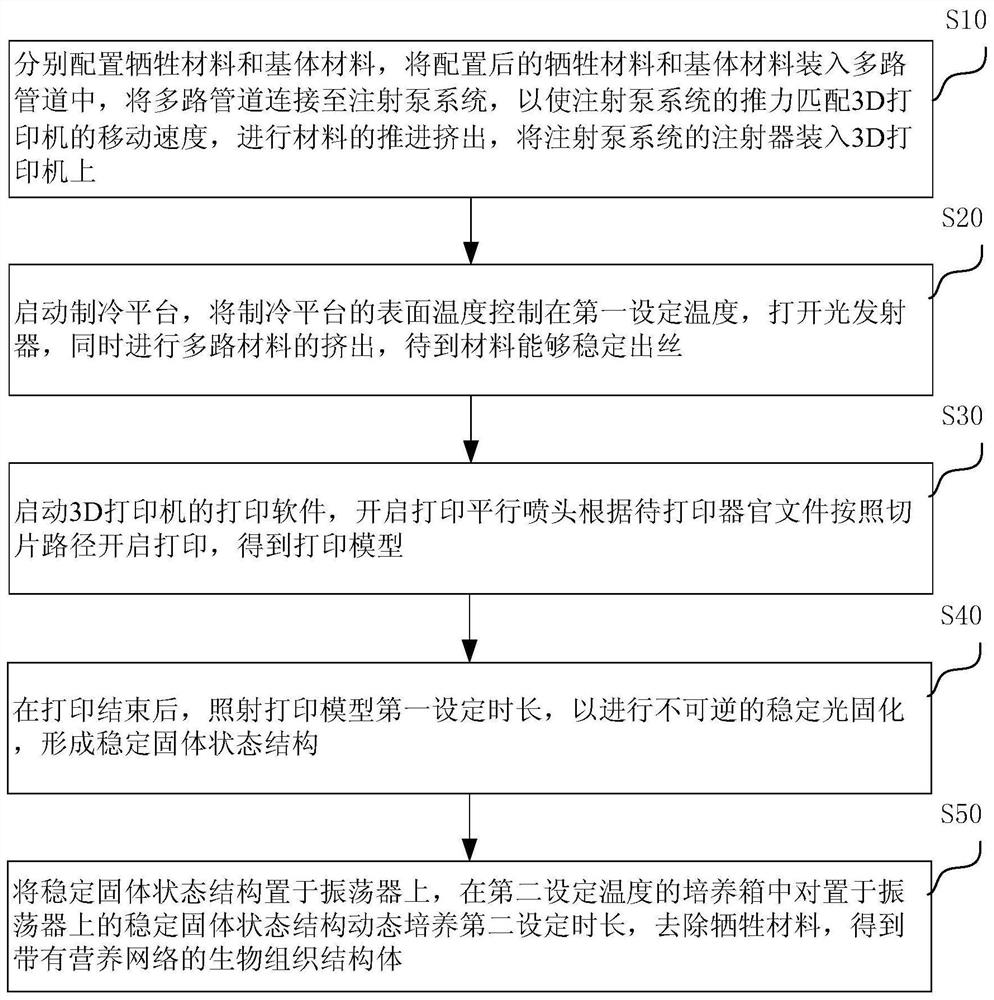 3D bioprinting method based on nutrient flow channel