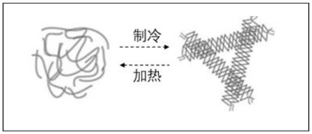 3D bioprinting method based on nutrient flow channel