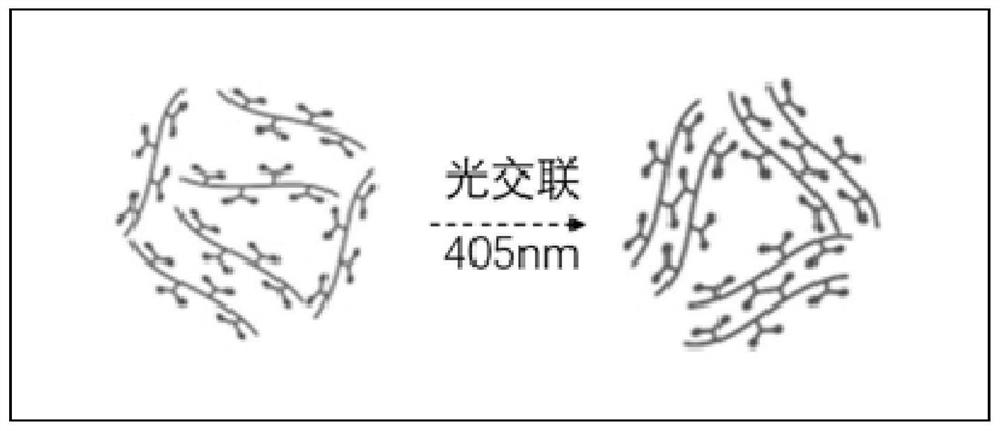 3D bioprinting method based on nutrient flow channel