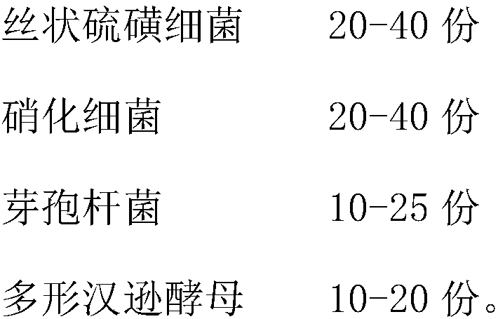 Multifunctional microbial compound deodorant, preparation method and application thereof