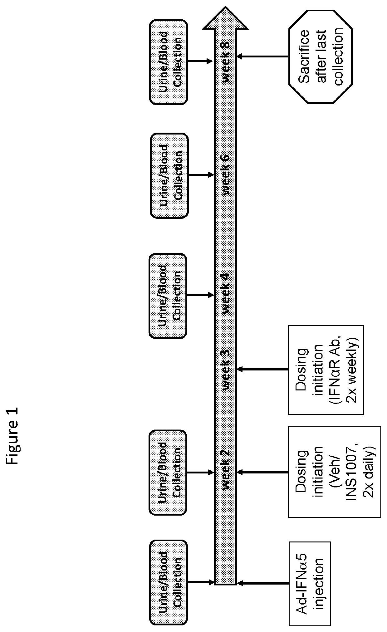 Certain (2S)-n-[(1S)-1-cyano-2-phenylethyl]-1,4-oxazepane-2-carboxamides for treating lupus nephritis