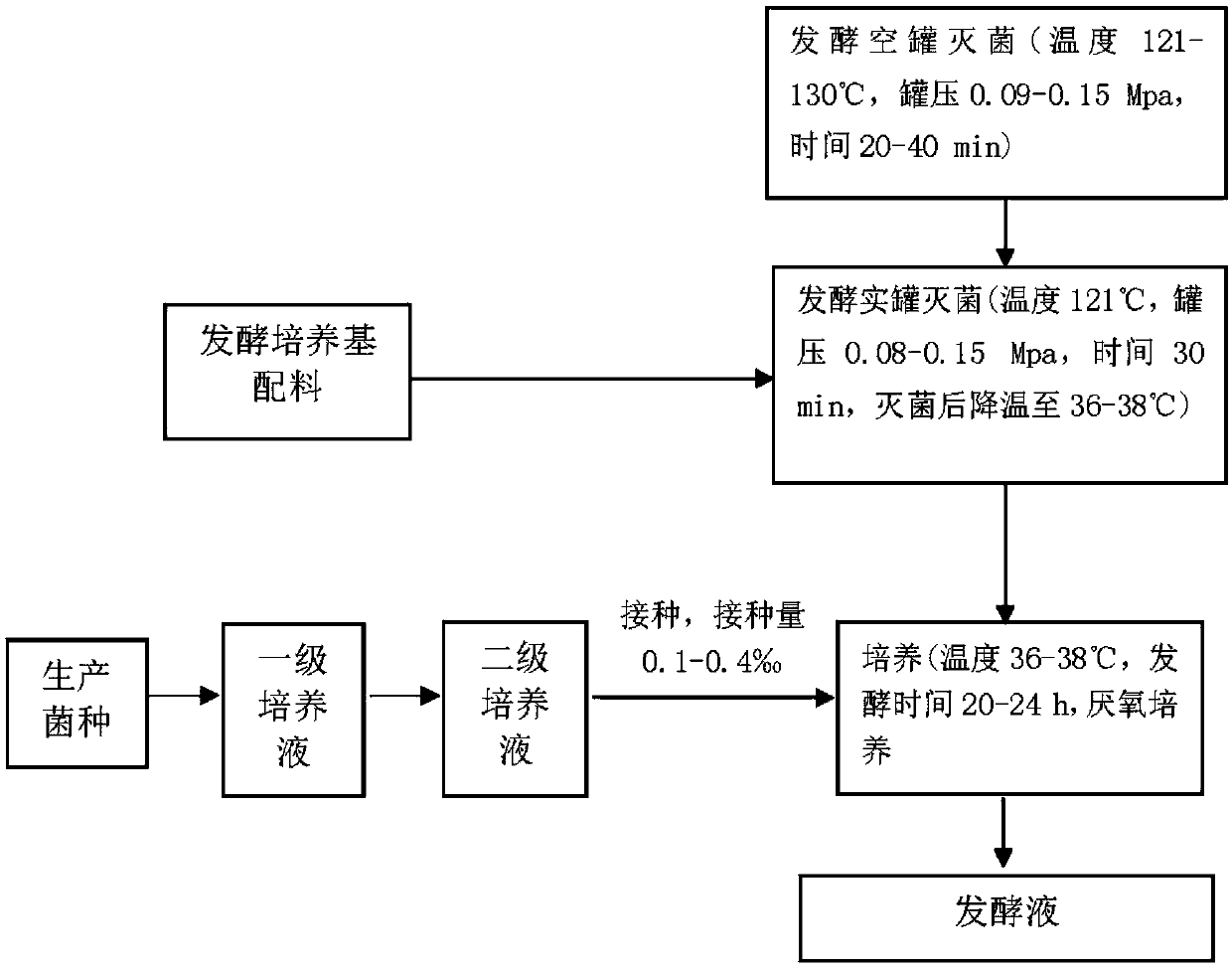 Bifidobacterium lactis BL-99 capable of regulating gastrointestinal florae and application of Bifidobacterium lactis BL-99