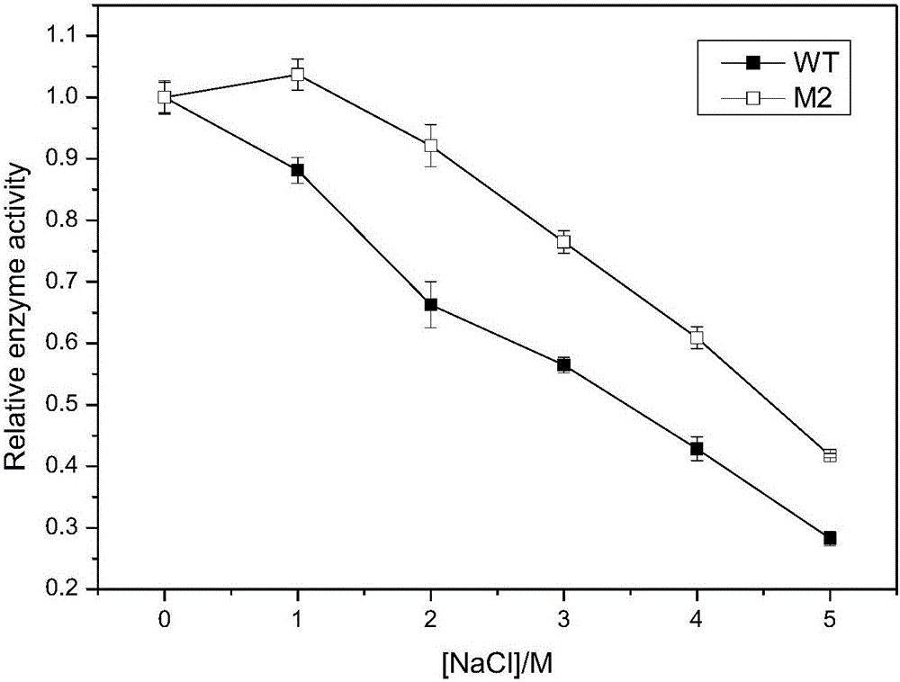 Mutant gene TlXynA_2 of xylanase TlXynA and application thereof