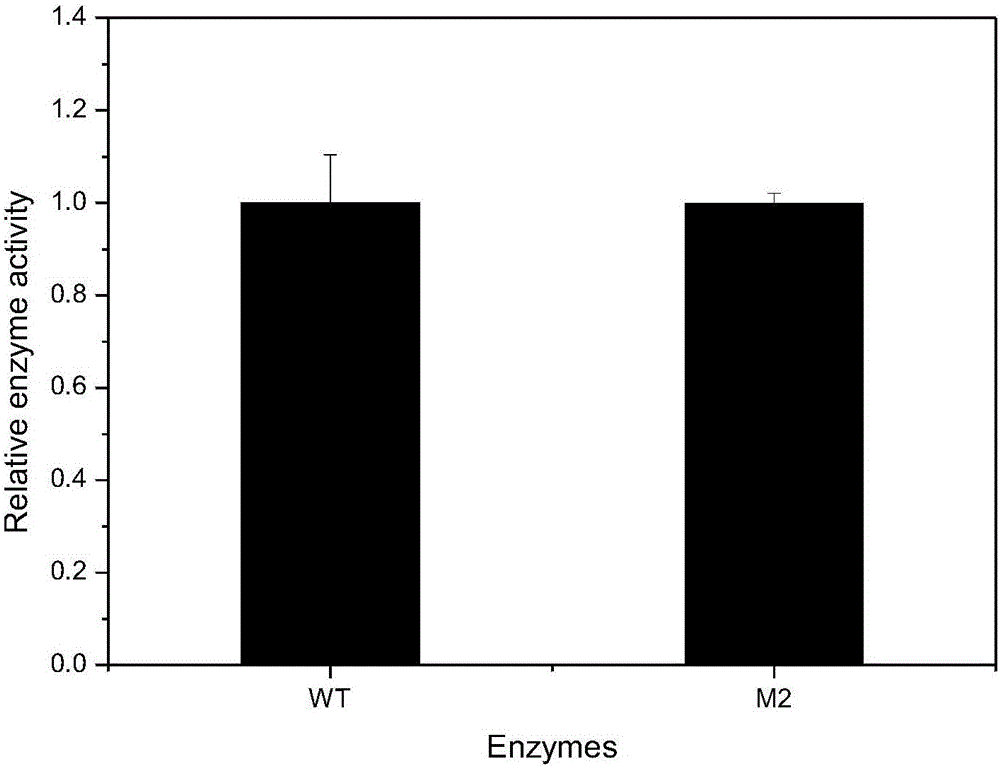 Mutant gene TlXynA_2 of xylanase TlXynA and application thereof