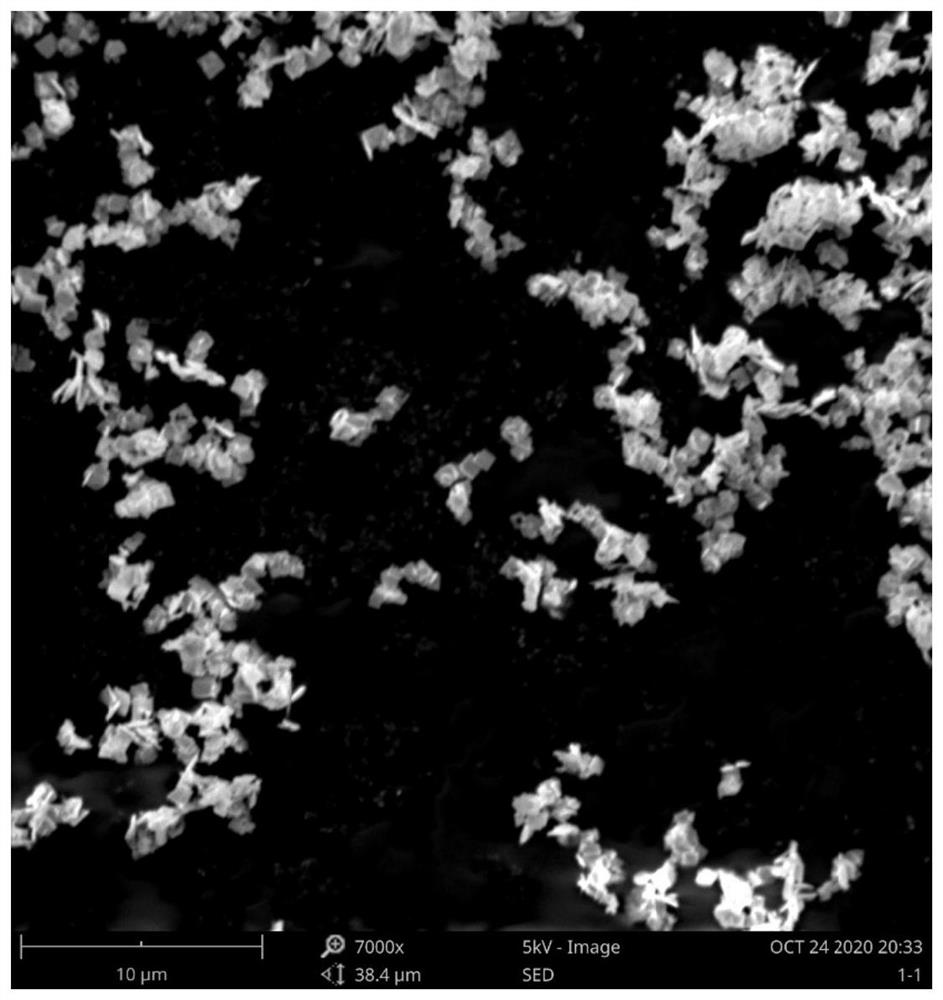 Bismuth ferrite nanosheet material as well as preparation method and application thereof