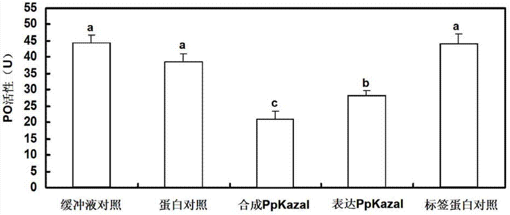 Pteromalus puparum venom Kazal serine proteinase inhibitor polypeptide and its application