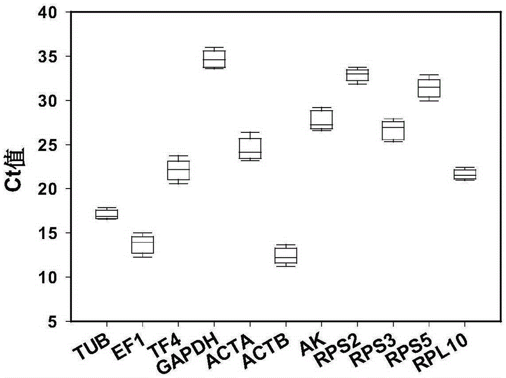 Method for screening reference genes for chilo suppressalis under temperature stress and application of reference genes