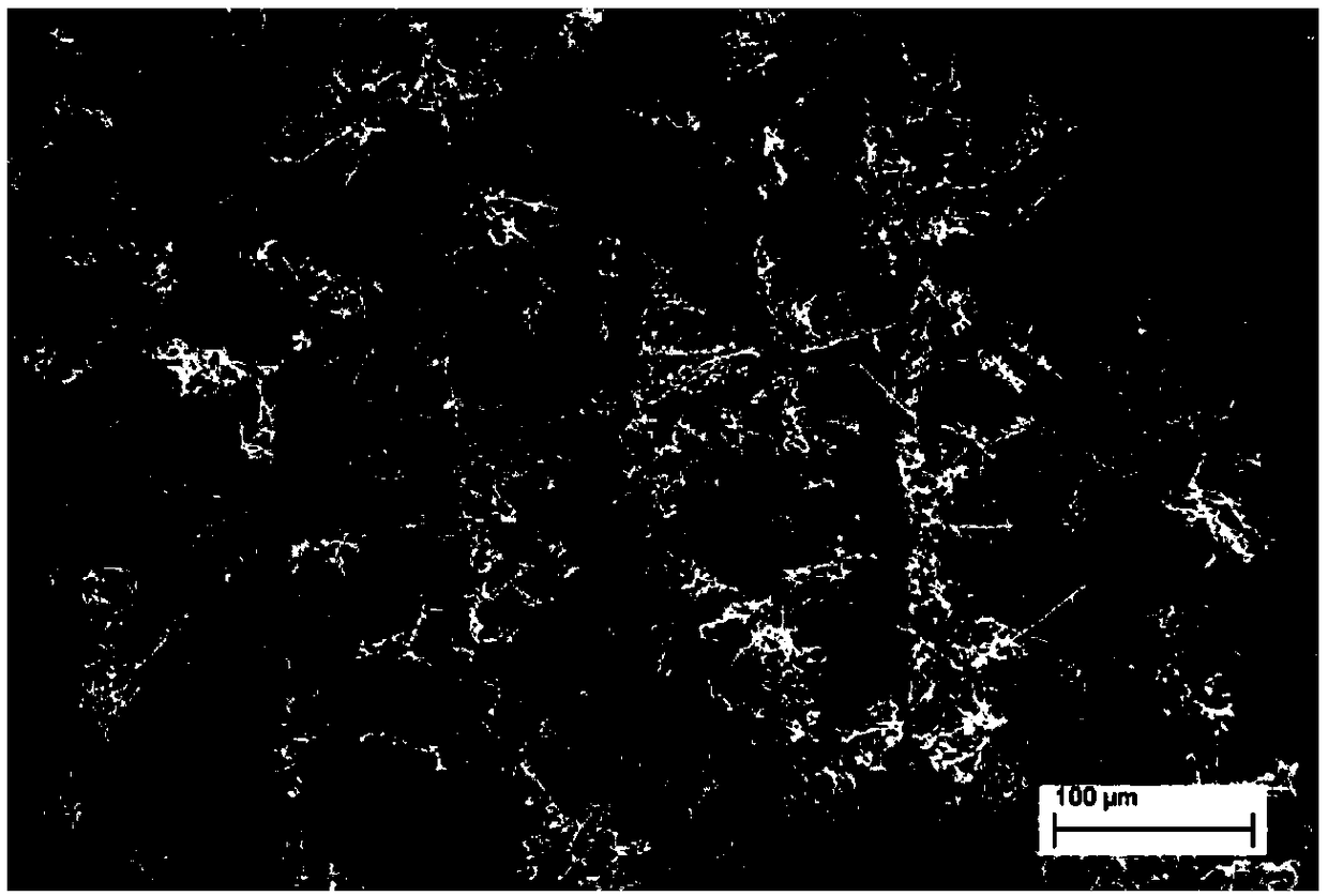 Silicon carbide reinforced metal matrix composite with micro orientated structure and preparation method thereof