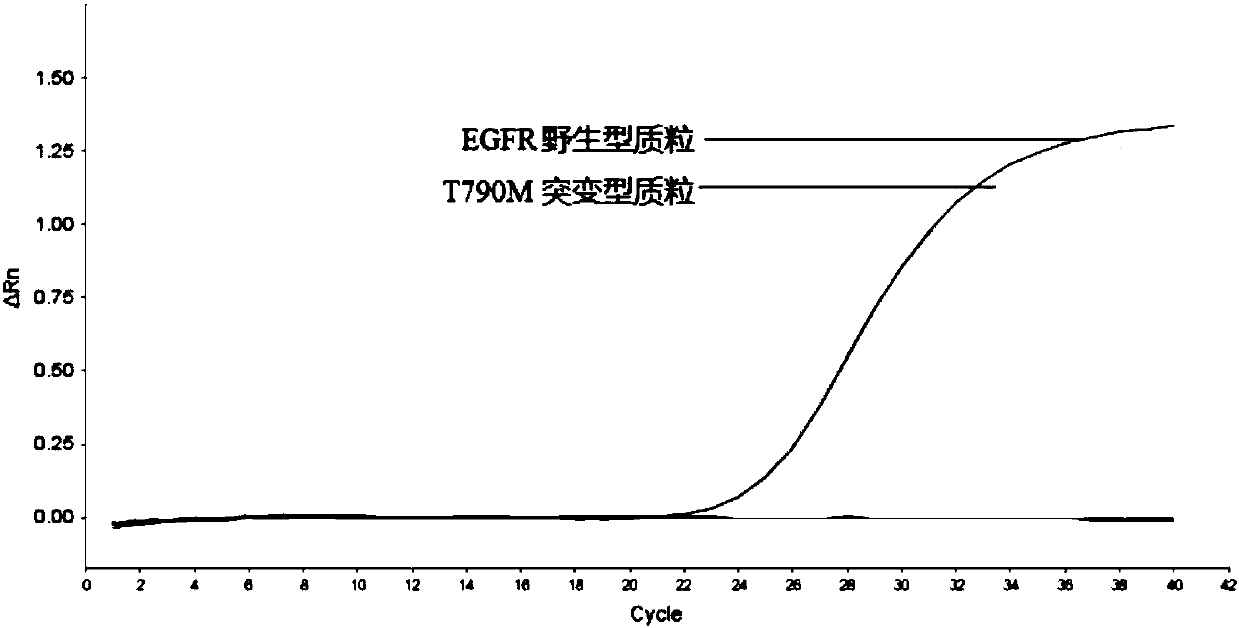 Hyper-blocking fluorescence quantitative PCR method with high sensitivity for detecting rare mutation