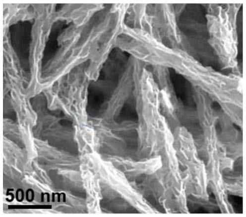 A kind of preparation method of cds/coo nano-heterostructure