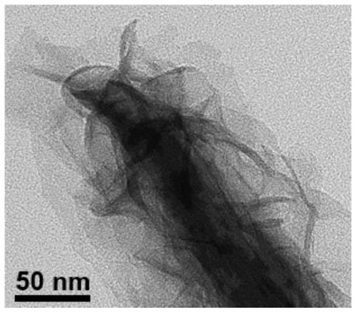 A kind of preparation method of cds/coo nano-heterostructure