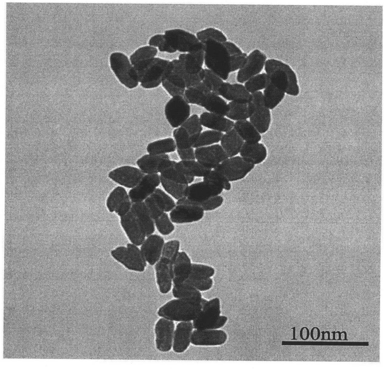 Rare earth-doped gadolinium fluoride nano luminous material for time-resolved multi-color fluorescence labeling and preparation method thereof