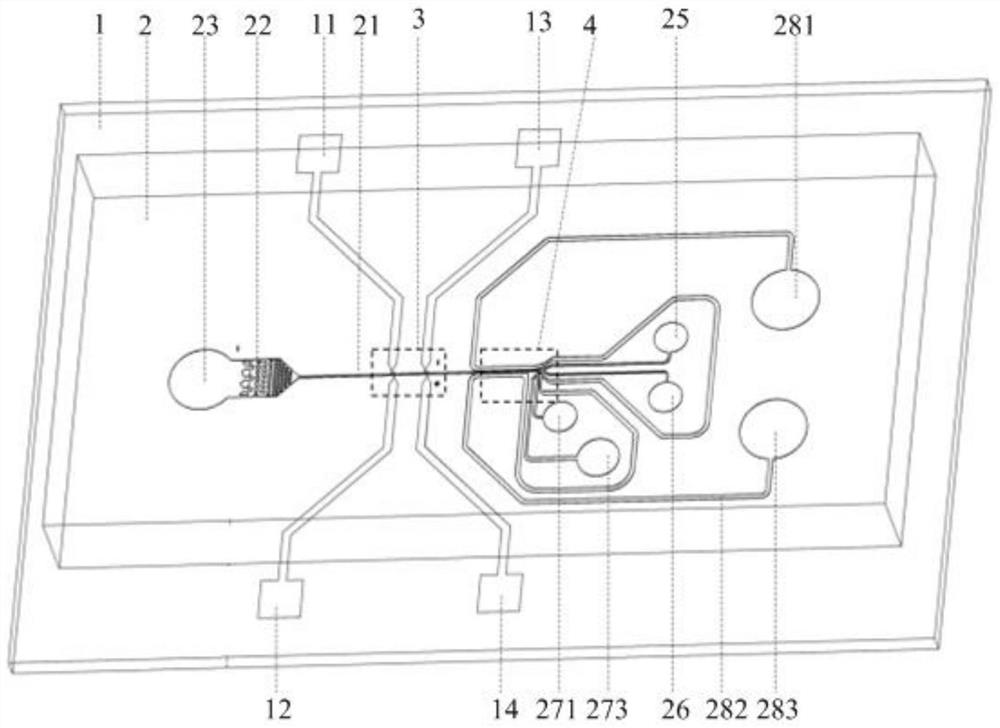 Micro-fluidic chip for sorting single cells and detection method