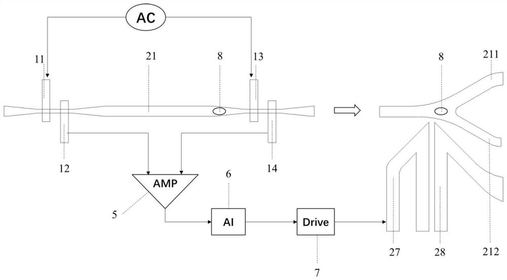 Micro-fluidic chip for sorting single cells and detection method