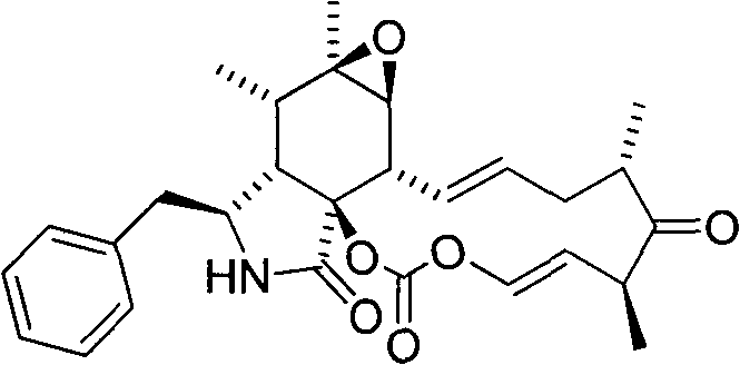 Cytochalasin compound and preparation method and use thereof