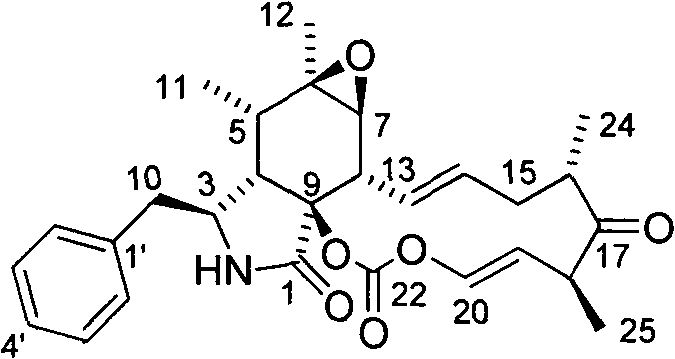 Cytochalasin compound and preparation method and use thereof