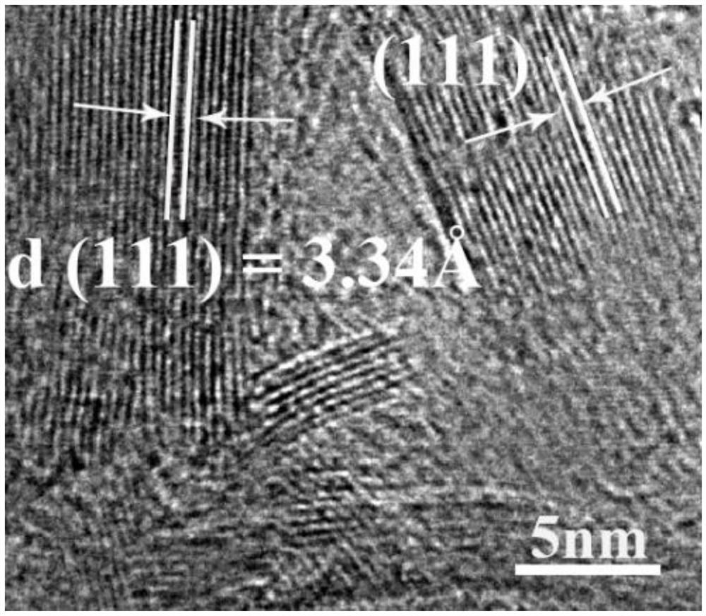 Self-supporting porous dendritic graphite foam, and preparation method and application thereof